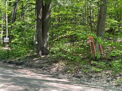 0 Fernwood Farms Rd unit 4985321, Canaan, NH 03741 - photo 4