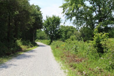Country Road take me home