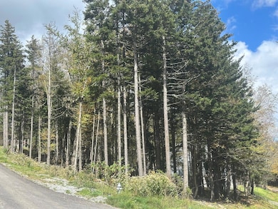 17 First Tracts Blvd, Snowshoe, WV 26209 - photo 6