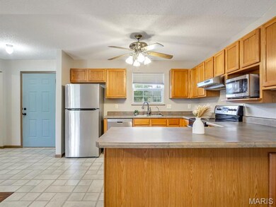 109 E Red Bud Ct, Valmeyer, IL 62295 - photo 7