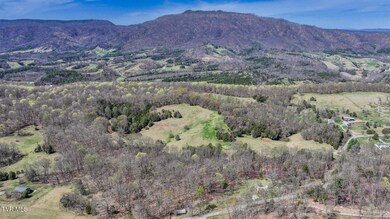 DJI_20250401141034_0247_D-HDR