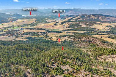 68X Highland Loop Rd, Kettle Falls, WA 99141 - photo 3