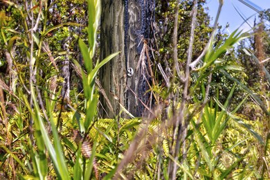 0 Alapua St unit 718246, Mountain View, HI 96771 - photo 6