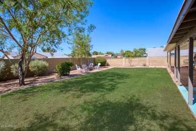 Large Grass Backyard