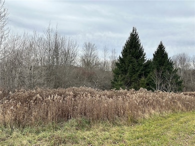 0 Kostenko Sutton Rd, Pitcher, NY 13801 - photo 6