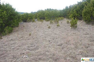 000000 Pecan Cove, Copperas Cove, TX 76522 - photo 3