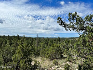 Par. B View3