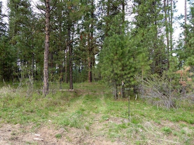 Big Timber for Privacy