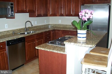 25129 Pennywort Terrace, Stone Ridge, VA 20105 - photo 7