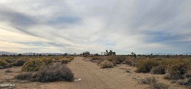 0 Avenue L4 23rd St E unit 25008152, Palmdale, CA 93550 - photo 2