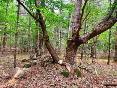 V/L Sloptown Rd, Beaver Island, MI 49782 - photo 5