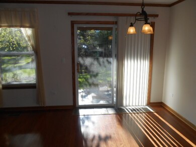 13826 S Bristlecone Ln unit A, Plainfield, IL 60544 - photo 4