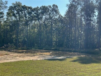 24054 S Bunker Hill Rd, Ponchatoula, LA 70454 - photo 3