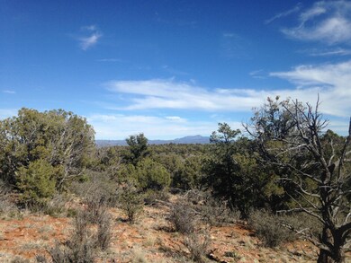 165 Off of Rocky Rd, Ash Fork, AZ 86320 - photo 5