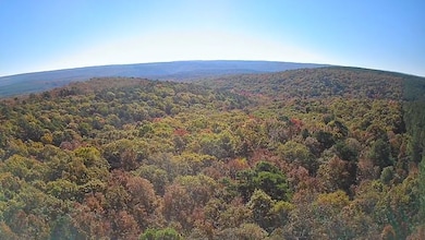 0000 Dump Mountain Rd, Mountain View, AR 72560 - photo 3