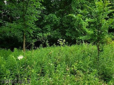 Lot 33 Granada Way, Altoona, PA 16601 - photo 3