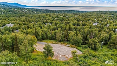 12801 Midori Dr, Anchorage, AK 99516 - photo 2