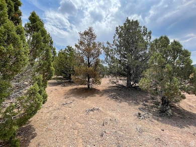 View of local wilderness