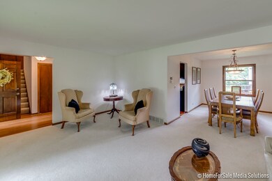 Neutral Karastan Carpet