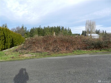 8800 286th Place NW, Stanwood, WA 98292 - photo 3