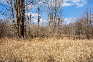 00 S Crawford Rd, Au Gres Township, MI 48749 - photo 7