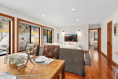 725 E Main St unit 309, Aspen, CO 81611 - photo 7