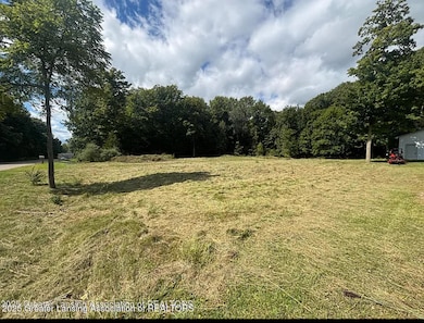 0 Thornapple unit 292765, Perrinton, MI 48871 - photo 3