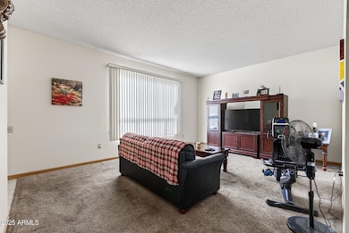 11034 W Crestbrook Dr, Sun City, AZ 85351 - photo 7