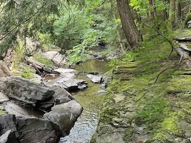 0 Bragg Hollow Rd, Middletown, NY 12438 - photo 2