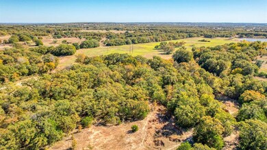 Lot 53 Perkins Rd, Poolville, TX 76487 - photo 4