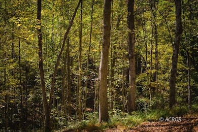 0000 Little Kyger Rd, Cheshire, OH 45620 - photo 3