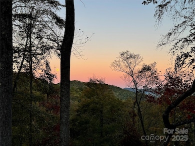 1367 Old Mill Rd, Clear Creek, NC 28792 - photo 5