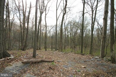 0 Tree Crops Ln unit 1000685031, Round Hill, VA 20141 - photo 4