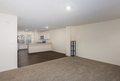 3831 Currant Ln, Elgin, IL 60124 - photo 4