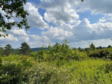 VL White Creek Rd, Friendship, NY - photo 2