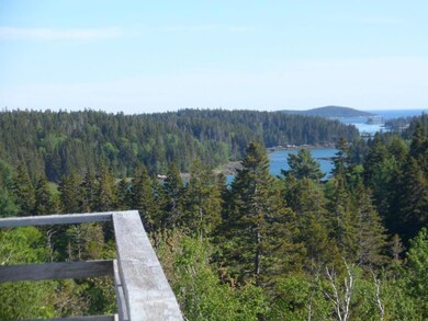 View over the spruce trees looking...