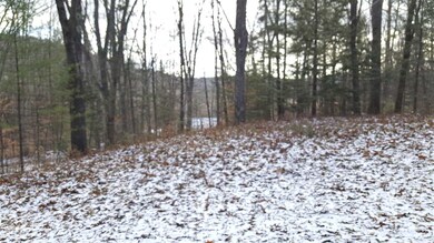 209 Chaisson Rd, Plymouth, NH 03264 - photo 3