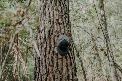 0 Hwy 1083 (Ben Williams Rd ) Hwy, Covington, LA 70435 - photo 2