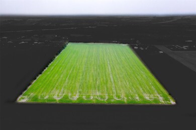View of aerial view