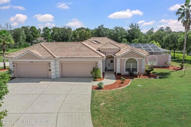 01_DJI_0724_mls