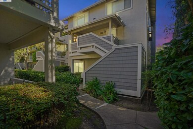 2586 Oak Rd unit 229, Walnut Creek, CA 94597 - photo 2