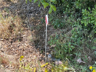 0 Tanager Way unit SW24111989, Hemet, CA 92544 - photo 4