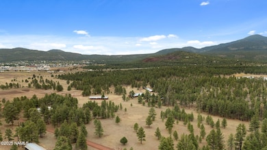 4-web-or-mls-DJI_20250918140725_0995_D