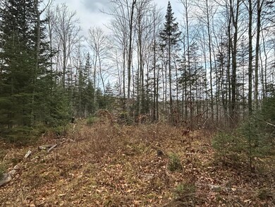 18 Acres Cth G, Pelican Lake, WI 54463 - photo 2