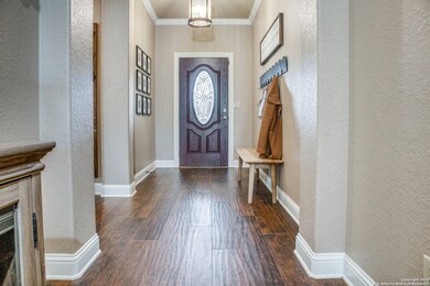 11231 Schinz Field, Helotes, TX 78023 - photo 5