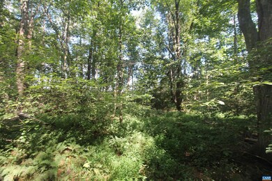 0 Seminole Trail unit 669157, Rochelle, VA 22738 - photo 5