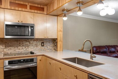 6817 Stonesthrow Cir N unit 17107, Saint Petersburg, FL 33710 - photo 6