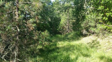 305 Hacienda Way, Grants Pass, OR 97526 - photo 5