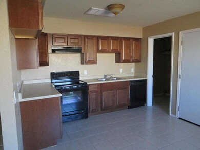 Olmo cir 017