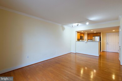 414 Water St unit 1910, Baltimore, MD 21202 - photo 3